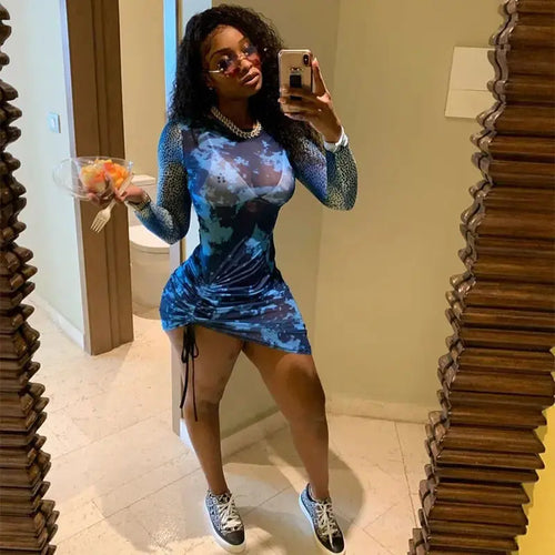 Pleated Print Long Sleeve Mesh See-Through Mini Dress