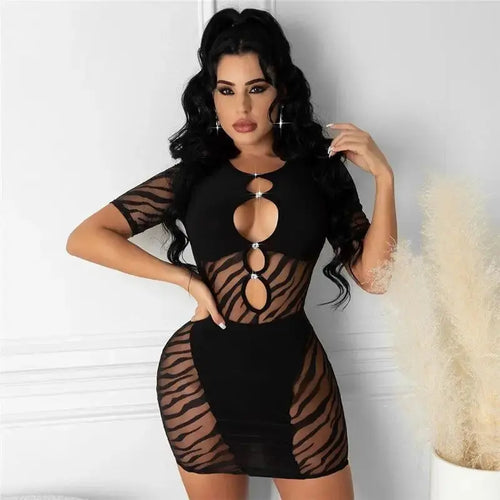 Zebra Mesh Pencil Transparent Bodycon Mini Dress