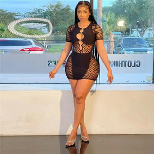 Zebra Mesh Pencil Transparent Bodycon Mini Dress