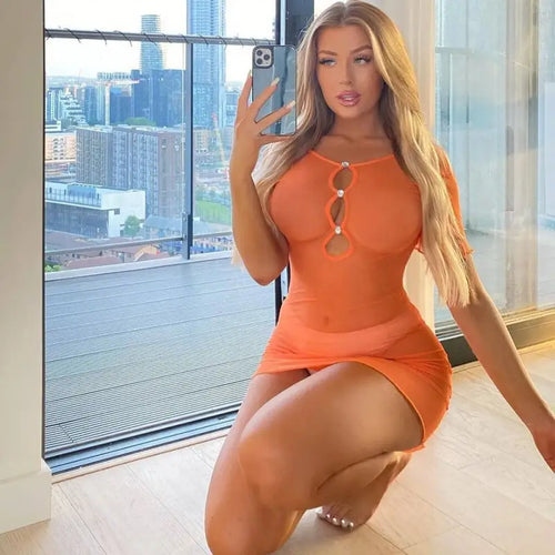 Cut Out Short Sleeve Mesh See Through Bodycon Dress