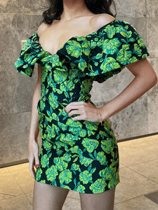 Deep V Neck Ruffle Sleeves Floral Print Mini Dress