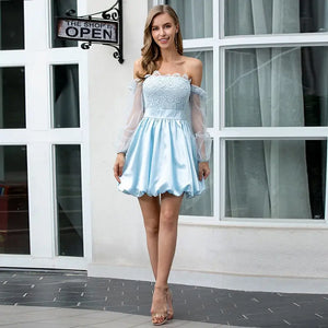 Double Crazy Mesh Lantern Sleeve Lace Bodice Satin Dress