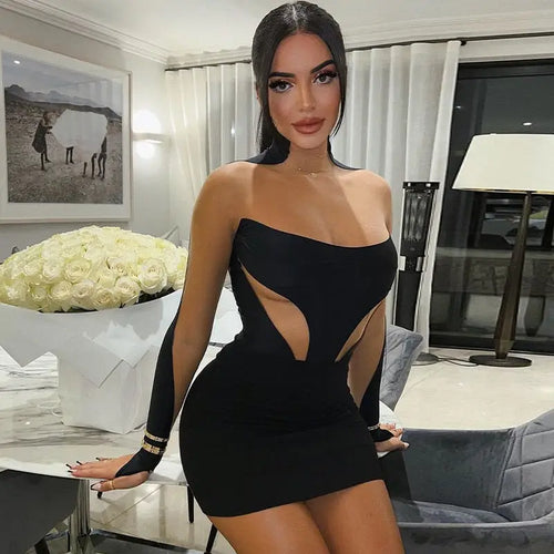 Emma Long Sleeve Mesh Bodycon Mini Dress - Black / S - dress