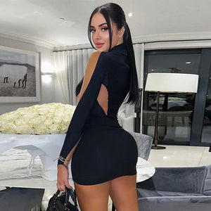 Emma Long Sleeve Mesh Bodycon Mini Dress - dress