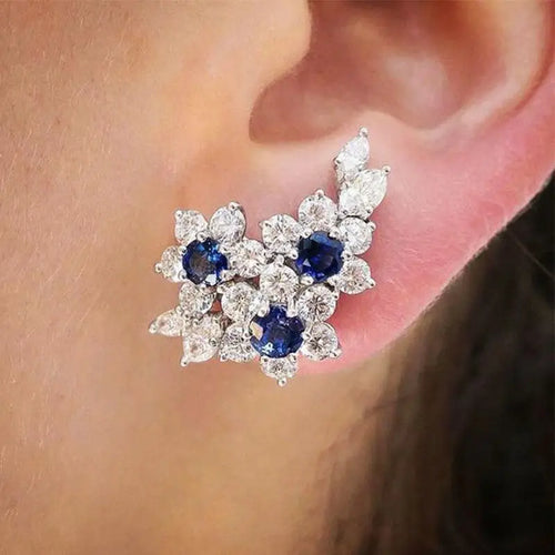Gorgeous Blue/White Round CZ Luxury Earrings