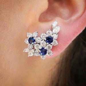 Gorgeous Blue/White Round CZ Luxury Earrings - E1213
