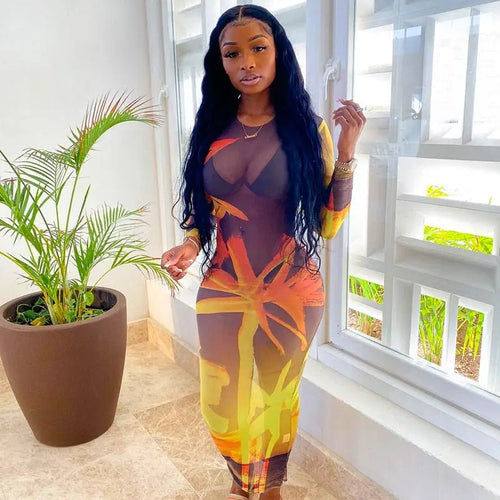 Long Sleeve O Neck Mesh Slim Dress