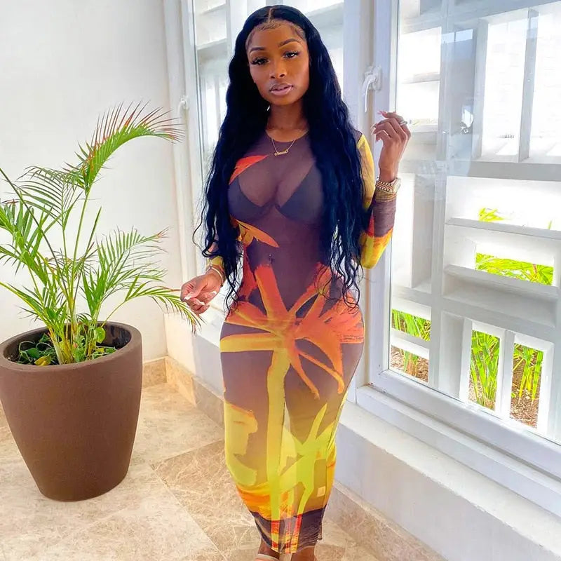Long Sleeve O Neck Mesh Slim Dress