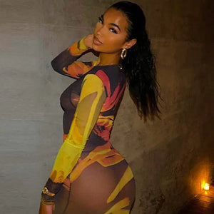 Long Sleeve O Neck Mesh Slim Dress