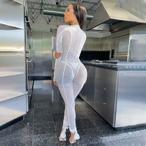 Mesh Perspective See Though Overall Zipper Jumpsuit