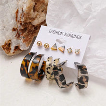 Load image into Gallery viewer, Trendy Exquisite Earrings Set - LY54197