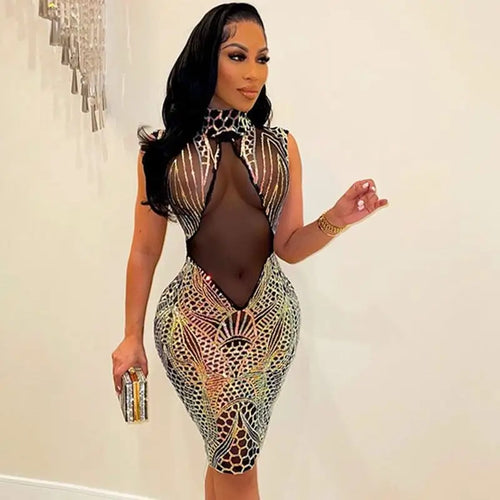 Elegant Sequin Sheer Mesh Glitter Dress
