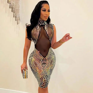 Elegant Sequin Sheer Mesh Glitter Dress