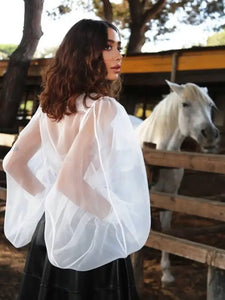 Lantern Sleeve Lapel Mesh Sheer Shirt