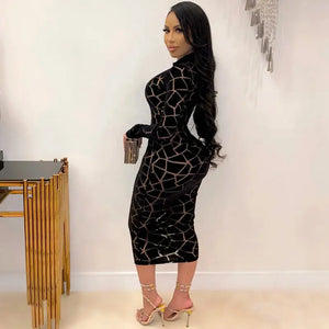 Long Sleeve Sheath Bodycon Sheer Mesh Dress