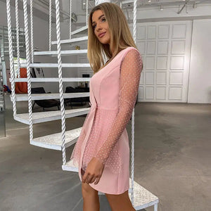 See Through Pink V-neck Mesh Long Sleeve Dress